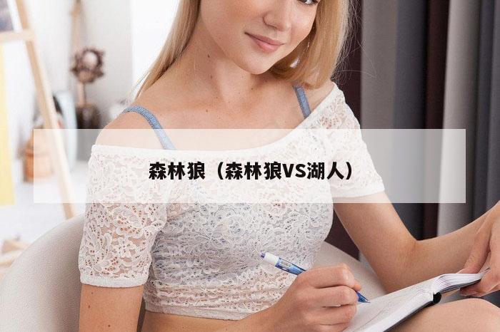 森林狼（森林狼VS湖人）