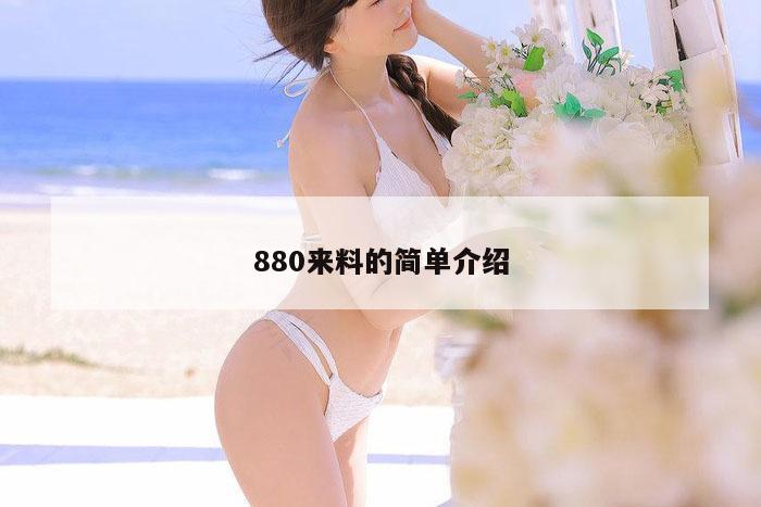 880来料的简单介绍